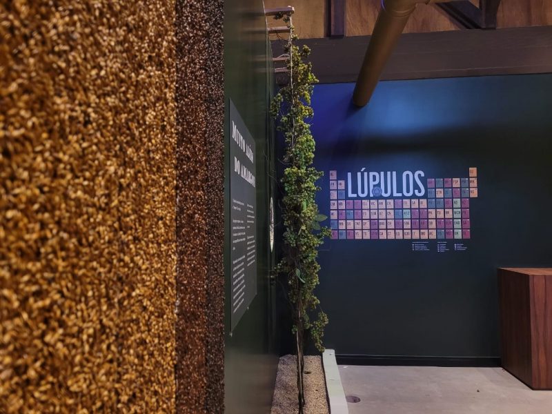 Museu da Cerveja vai ser reaberto ao p&uacute;blico na pr&oacute;xima sexta-feira – Foto: Divulga&ccedil;&atilde;o/ND