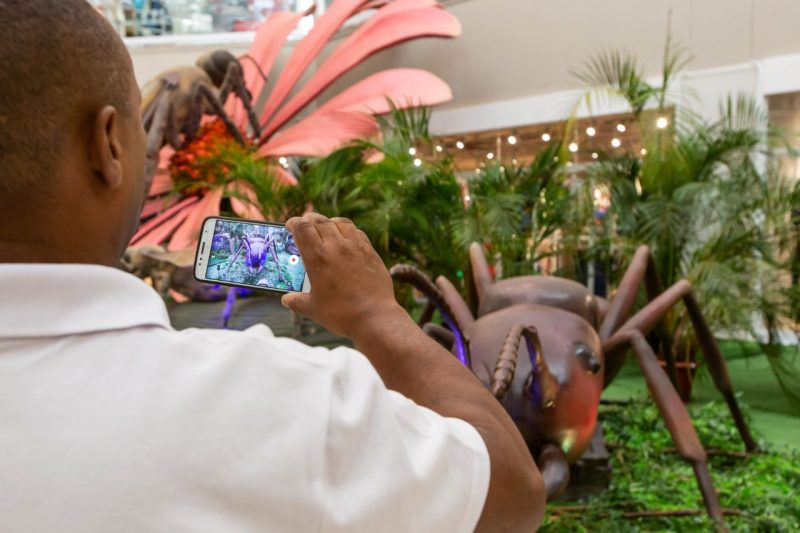 “Querida, encolhi as crian&ccedil;as”? Visitante vai poder ter a experi&ecirc;ncia de ser menor que uma formiga – Foto: Porto Belo Outlet Premium/Divulga&ccedil;&atilde;o/ND