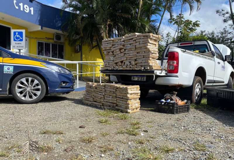 Drogas apreendidas em Barra Velha