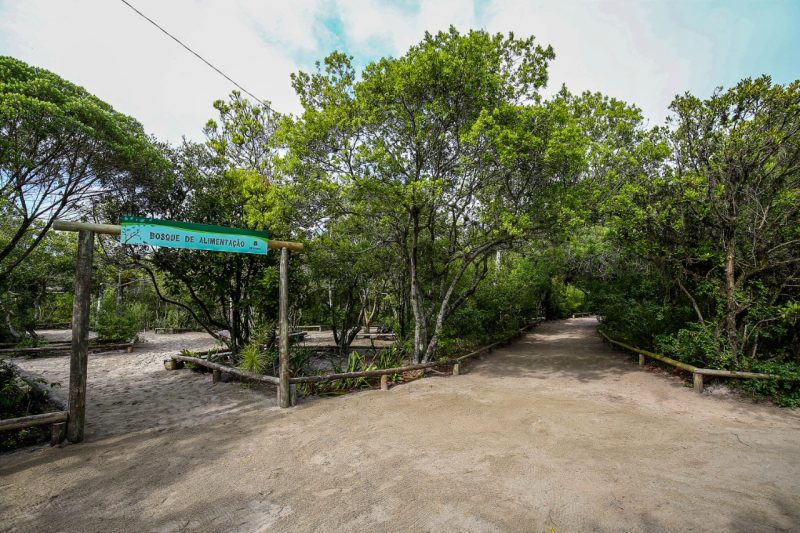 MONA da Lagoa do Peri – Foto: Prefeitura Municipal de Florian&oacute;polis/Divulga&ccedil;&atilde;o