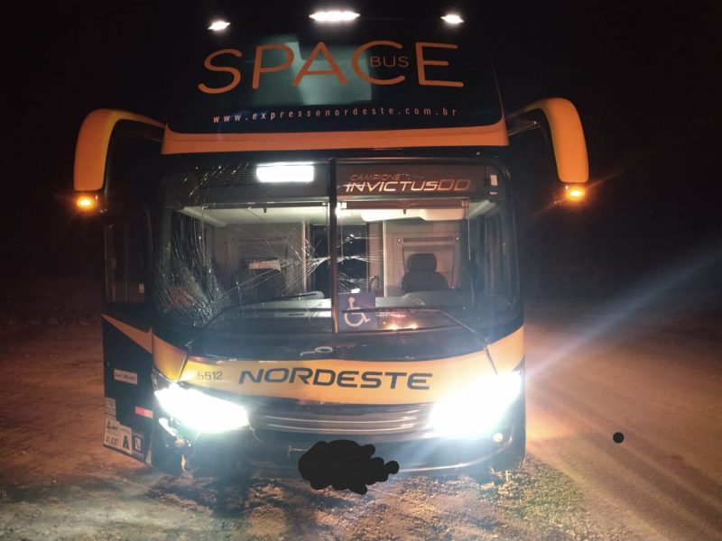 O pr&oacute;prio motorista, por mediada de seguran&ccedil;a, conseguiu fazer a remo&ccedil;&atilde;o do &ocirc;nibus da pista. – Foto: PMRv/Divulga&ccedil;&atilde;o/ND