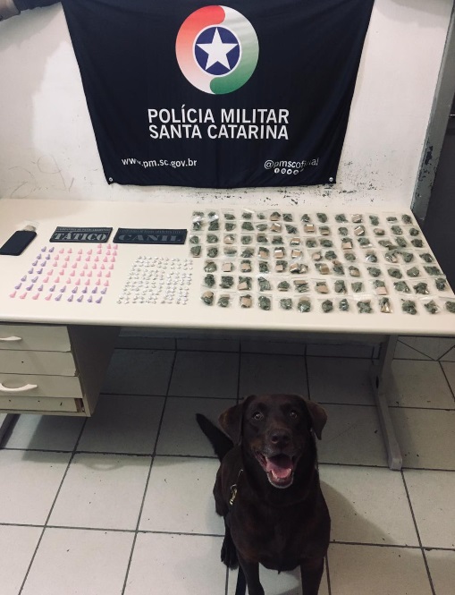 Presos por tráfico de dorgas