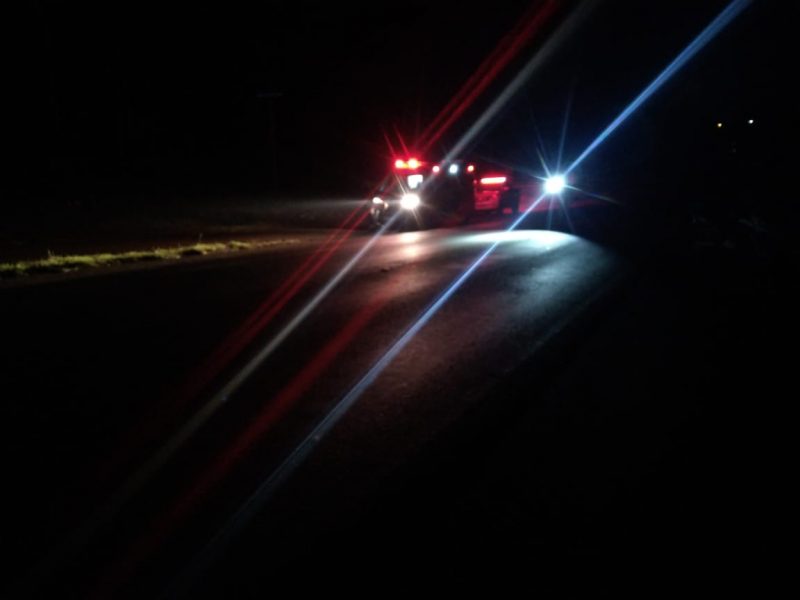 O cavalo estaria solto e atravessou a rodovia quando passava a moto. – Foto: PMRv/Reprodu&ccedil;&atilde;o/ND