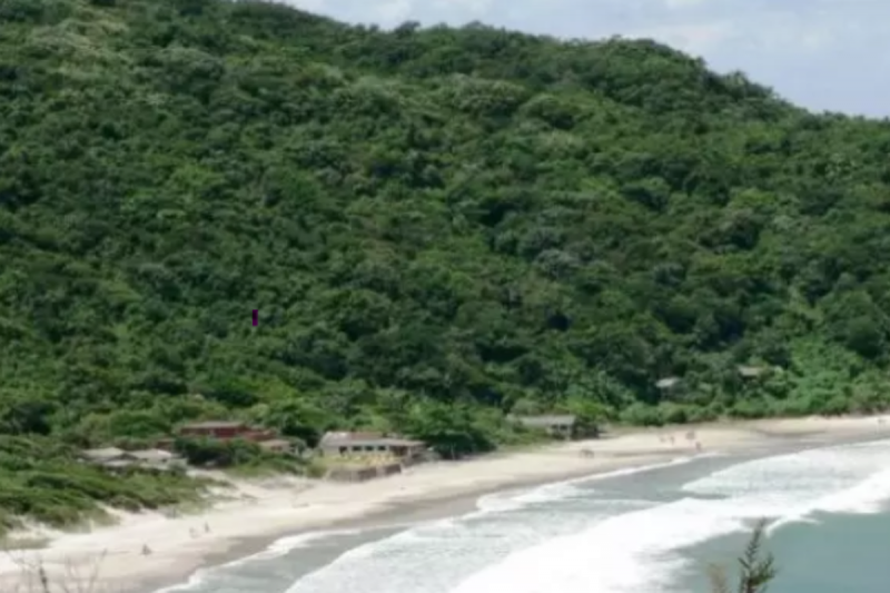 Praia de Naufragados em Florian&oacute;polis – Foto: Divulga&ccedil;&atilde;o/Arquivo ND
