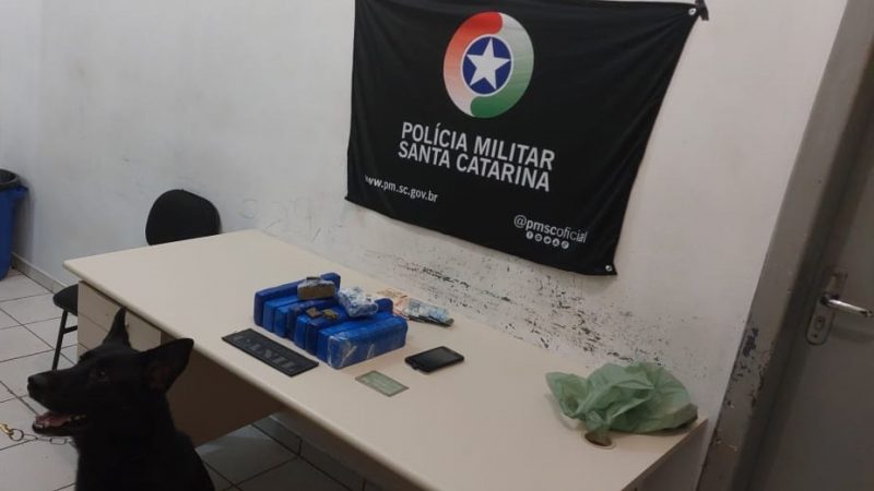 Drogas foram apreendidas com ajuda de c&atilde;o farejador – Foto: Pol&iacute;cia Militar/Divulga&ccedil;&atilde;o
