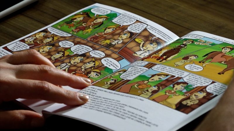 Quadrinho conta a hist&oacute;ria dos imigrantes italianos da regi&atilde;o de V&ecirc;neto que chegaram em Santa Catarina – Foto: Divulga&ccedil;&atilde;o/ND