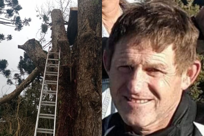 Dalcio morreu ap&oacute;s ser atingido por &aacute;rvore – Foto: CBM/Internet