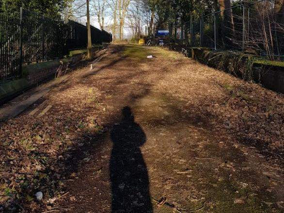 Melissa fotografou figura semelhante a ET – Foto: Melissa Braham/Divulga&ccedil;&atilde;o/ND