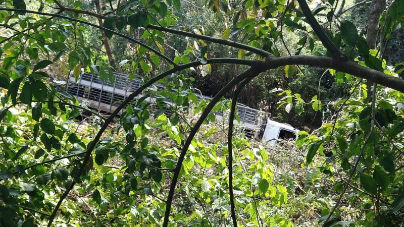 O caminh&atilde;o saiu da pista e caiu na ribanceira. – Foto: Jair Correia/ND
