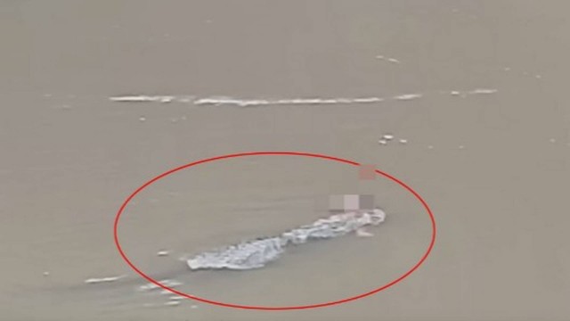 Crocodilo aparece com resto mortal de homem na boca – Foto: Jam Press Vid/Reprodu&ccedil;&atilde;o/ND