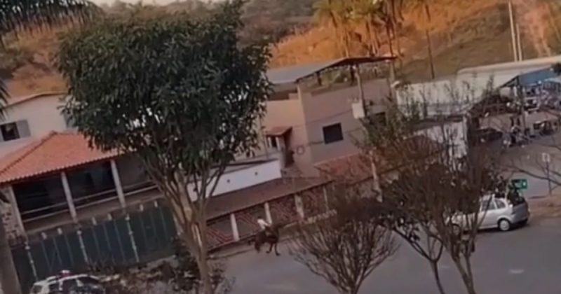 Homem foge a cavalo e viraliza na internet no Alto Vale do Itaja&iacute; – Foto: Reprodu&ccedil;&atilde;o/ND