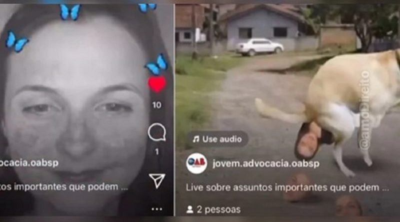 Advogada Vanessa Ara&uacute;jo viralizou nas redes sociais – Foto: Reprodu&ccedil;&atilde;o Tik Tok