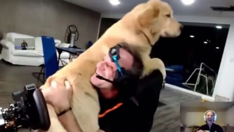 Rubens Barrichello foi atropelado pelo próprio cachorro durante live