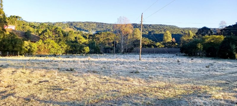 Apesar do sol, temperatura chegou a -1&deg;C em Bom Jardim da Serra – Foto: Sergio Felipe Rodrigues/Divulga&ccedil;&atilde;o/ND