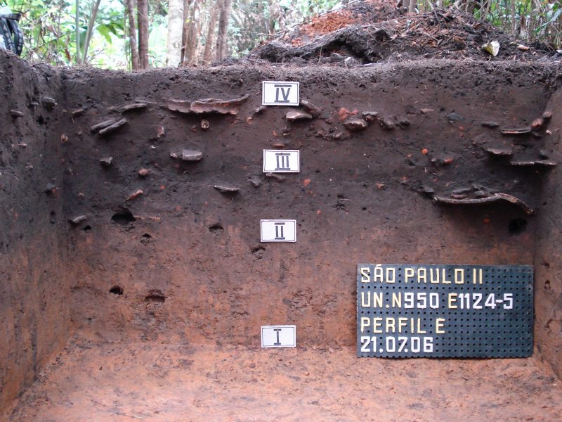 Amostra de Terra Preta de &Iacute;ndio, solo de alt&iacute;ssima fertilidade, resultado da a&ccedil;&atilde;o de comunidades ind&iacute;genas h&aacute; milhares de anos – Foto: Helena Lima/Central Amazon Project/ND