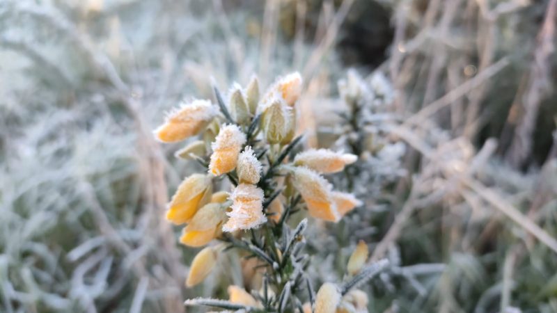 No s&aacute;bado a m&iacute;nima deve ficar pr&oacute;xima de 0&deg;C em alguns munic&iacute;pios catarinenses. – Foto: Wagner Urbano/Divulga&ccedil;&atilde;o/ND
