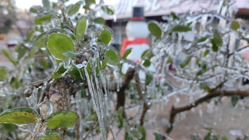 Serra Catarinense pode registrar geada – Foto: Wagner Urbano/Divulga&ccedil;&atilde;o/ND