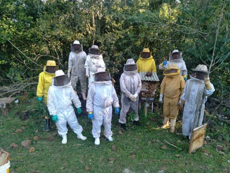 Apicultores do oeste catarinense participaram da capacita&ccedil;&atilde;o – Foto: Senar/ND