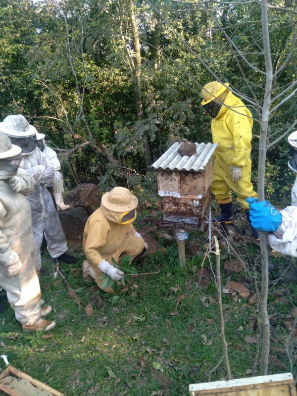 Produtores relatam o quanto a ATeG tem sido importante para promover avan&ccedil;os nas propriedades – Foto: Senar/ND