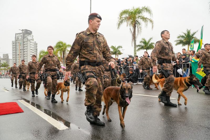 Desfile cívico-militar de 7 de setembro em Florianópolis