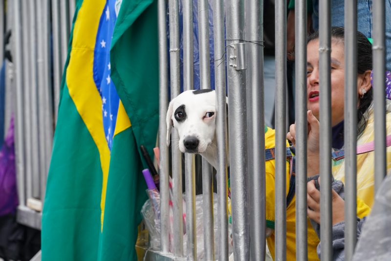 Desfile cívico-militar de 7 de setembro em Florianópolis