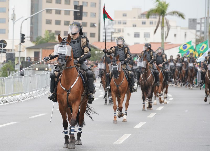 cavalaria da Polícia Militar em desfile de 7 de setembro