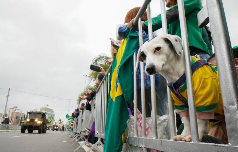 Desfile cívico-militar de 7 de setembro em Florianópolis