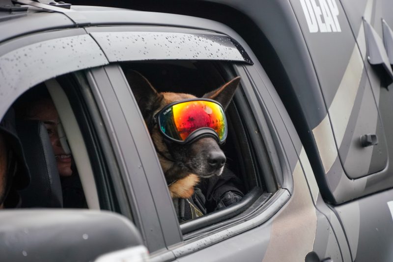 Desfile cívico-militar de 7 de setembro em Florianópolis