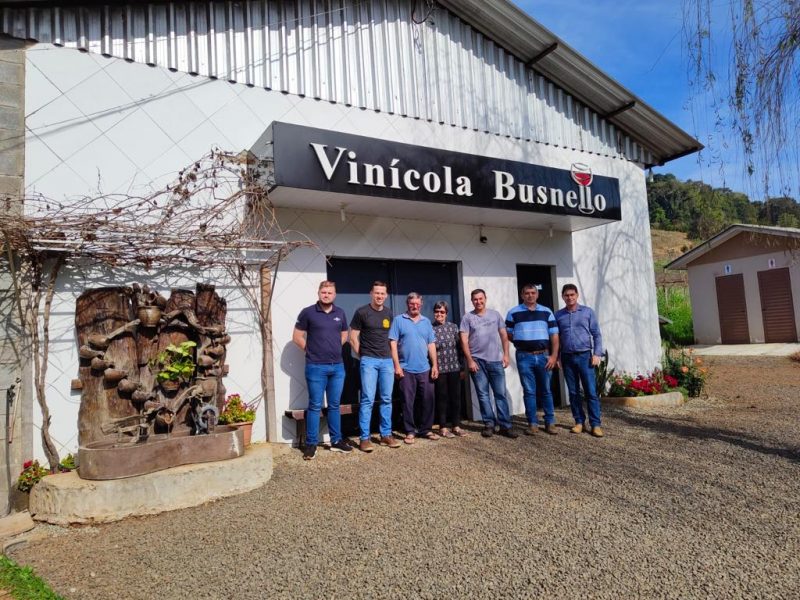 Vin&iacute;cola Busnello, do munic&iacute;pio de Quilombo conquistou o credenciamento do MAPA – Foto: 10