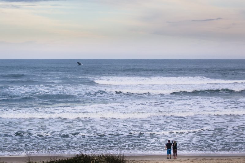 Praia do Rosa, em Imbituba – Foto: Bernardo Villavueva/Divulga&ccedil;&atilde;o