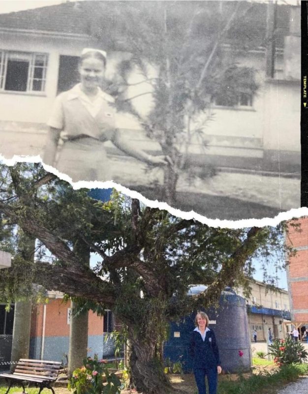 Foto: Montagem a partir de fotos/Divulga&ccedil;&atilde;o ND