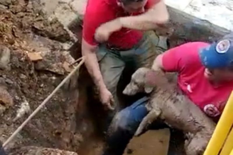 Resgate do cachorro levou cerca de quatro horas – Foto: CBM/SC