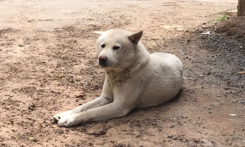 M&aacute;scara &eacute; ch&atilde;o de seguran&ccedil;a do bar – Foto: Leonardo Dreher/Divulga&ccedil;&atilde;o/ND