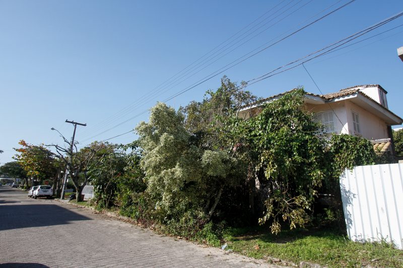 Casa com apar&ecirc;ncia de abandonada fica em Jurer&ecirc; Internacional – Foto: Leo Munhoz/ND