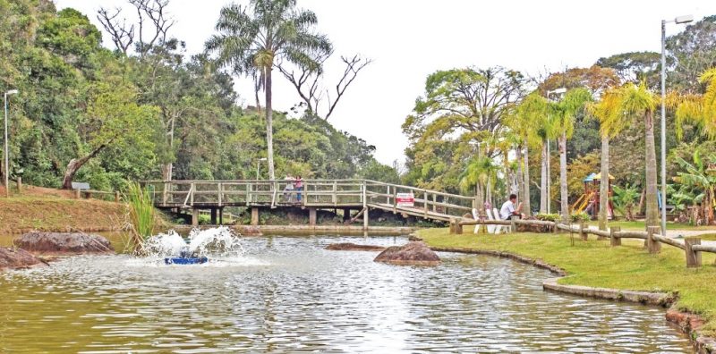 Al&eacute;m da flora e fauna nativas, parque possui mirante com vista para a cidade – Foto: Marco Santiago/ND