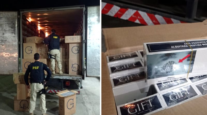 Cigarros contrabandeados foram achados na BR-101, em Bigua&ccedil;u – Foto: PRF/Divulga&ccedil;&atilde;o/ND