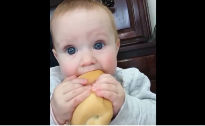 bebê se agarra em um pão
