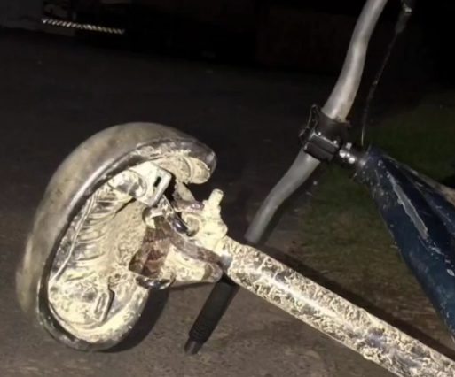 Uma das cobras resgatadas por Gilberto estava no selim de uma bicicleta – Foto: Reprodu&ccedil;&atilde;o/Internet