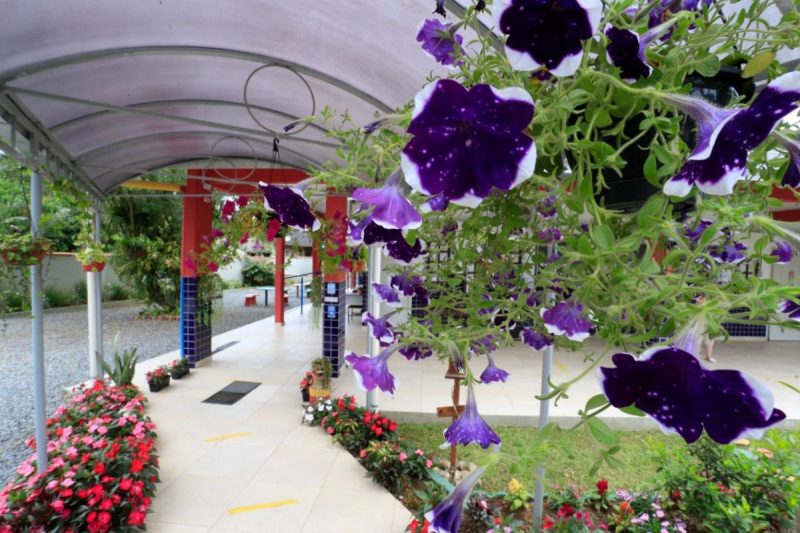 Concurso ter&aacute; nove categorias – Foto: Prefeitura de Joinville/Divulga&ccedil;&atilde;o