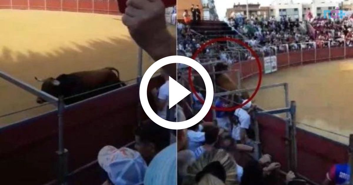 VÍDEO: Touro invade estádio, arrasta homem e persegue jogadores