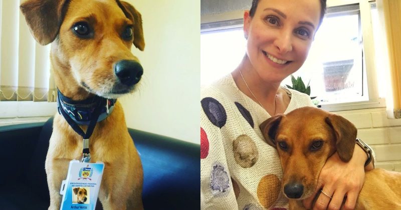 Marcela leva o seu pet para algumas aulas no curso de Nutri&ccedil;&atilde;o, na UFSC. – Foto: Arquivo Pessoal/Divulga&ccedil;&atilde;o/ND