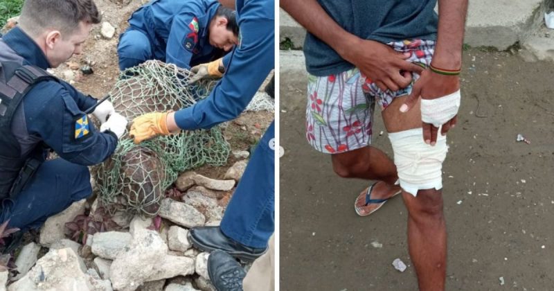 Homem tentou ajudar capivara encurralada e foi atacado pelo animal – Foto: GAMF/Divulga&ccedil;&atilde;o