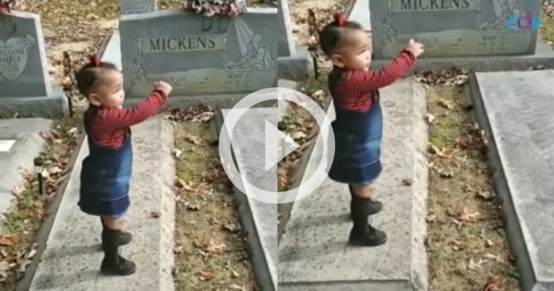 Nas imagens, &eacute; poss&iacute;vel ver que a crian&ccedil;a chega a dar beijo em algo pr&oacute;ximo ao t&uacute;mulo da sua fam&iacute;lia.&nbsp; – Foto: Reprodu&ccedil;&atilde;o/Youtube/ND