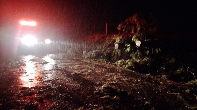 No bairro da &Aacute;gua Amarela, em Chapec&oacute;, houve cinco registros de queda de &aacute;rvore, o que teria obstru&iacute;do a via. – Foto: Defesa Civil/ND