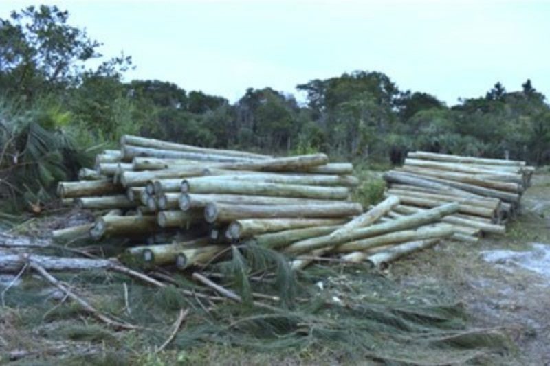 Processo de reintegra&ccedil;&atilde;o de posse em terra ind&iacute;gena termina com a Funai como r&eacute; – Foto: PRM/Divulga&ccedil;&atilde;o/ND