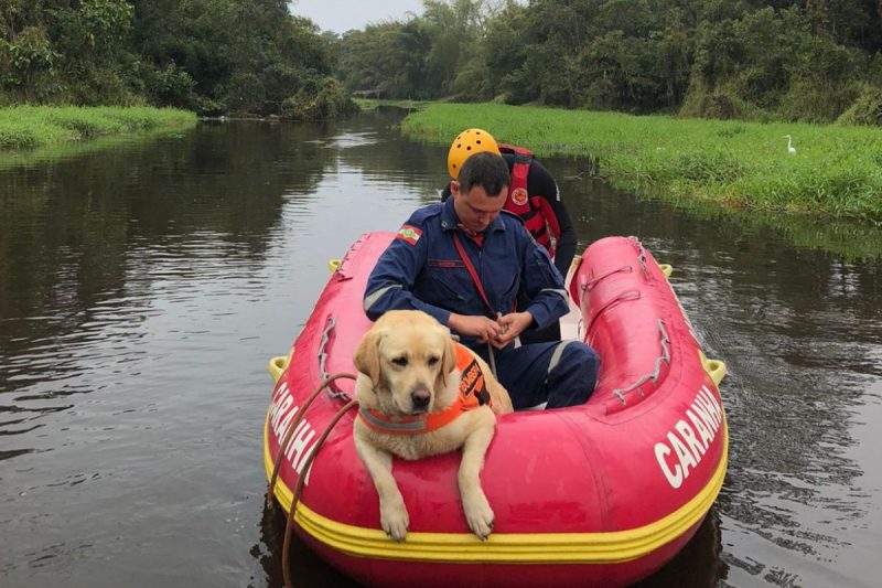Motorista de aplicativo desapareceu no domingo (4) em S&atilde;o Bento do Sul e carro foi encontrado com sangue em Itapo&aacute; – Foto: Bombeiros Militares/Divulga&ccedil;&atilde;o/ND