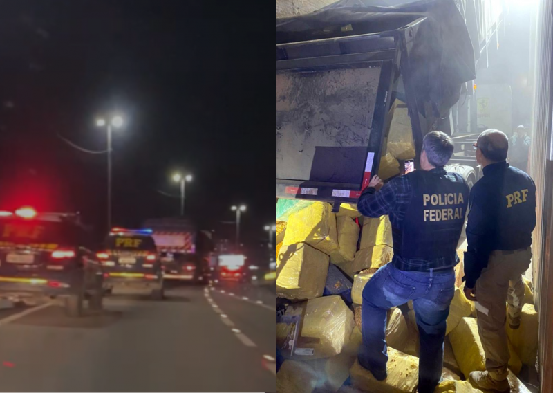 Quase 18 toneladas foram apreendidas entre a carga de milho &mdash; Foto: PRF/Reprodu&ccedil;&atilde;o/ND
