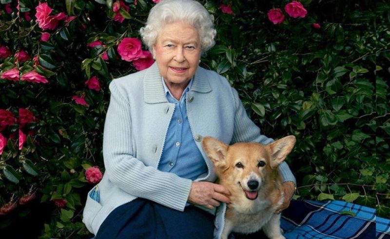 A rainha Elizabeth II e seus corgis, uma vida de servi&ccedil;o m&uacute;tuo – Foto: Reprodu&ccedil;&atilde;o/ND