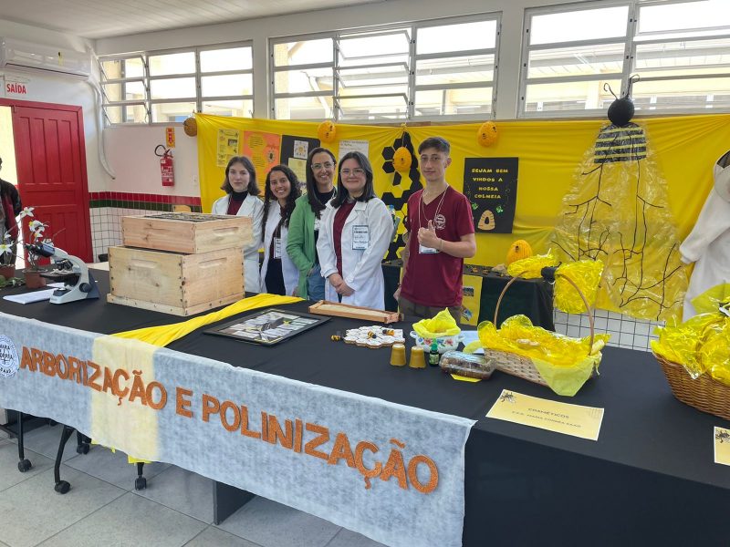 Alunos fabricam produtos à base do mel em atividade sobre polinização