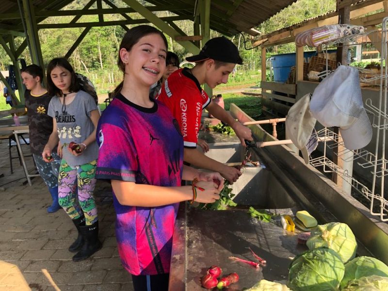 escolas de joinville